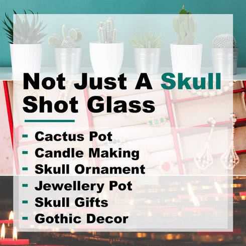 Skull Shot Glasses